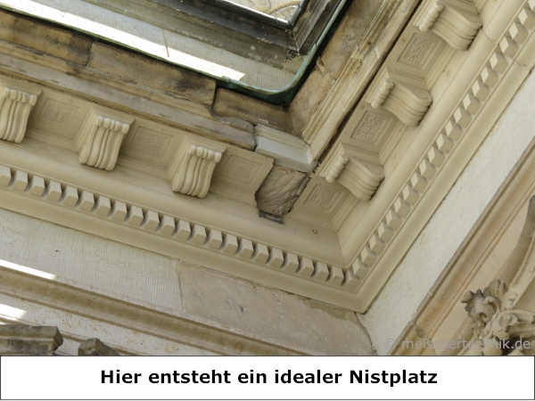 MEISSNER - 50x Spatzenbürsten - ca. 16 cm lang - Ø 9 cm - flexible und UV-beständige Borsten passen sich dem Hohlraum an